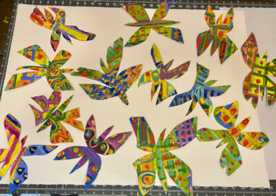 Butterflies 2026!